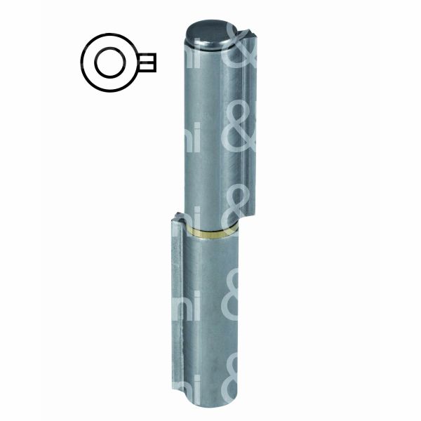 Agb e002002001 cerniera a saldare perno sfilabile art. 200 sezione 2 ali acciaio lucido l mm 200 - Ø mm 21