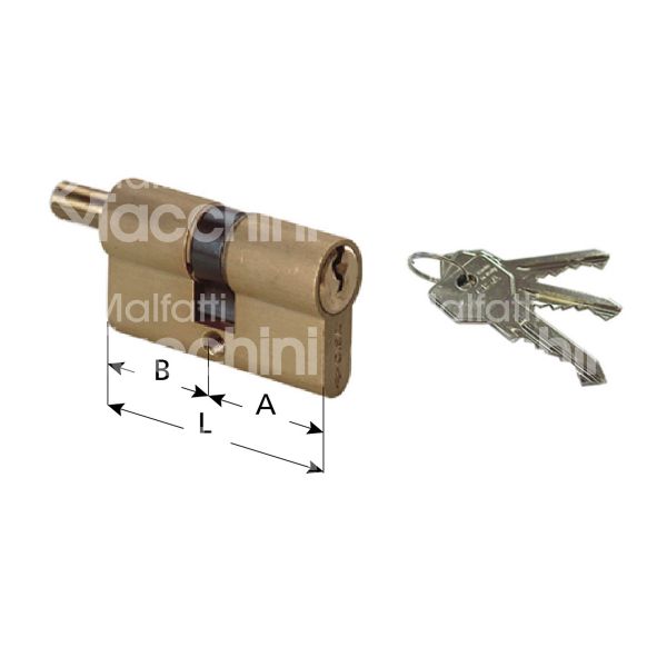 Cisa 0g302070 cilindro sagomato codolo rasabile c2000 30 x 30 = 60 mm chiave piatta profilo dx cifratura kd ottone satinato