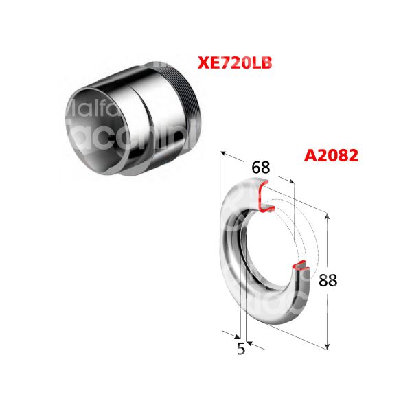 Disec xe720lbol per libra protettore misura 88 x 68 ottone lucido