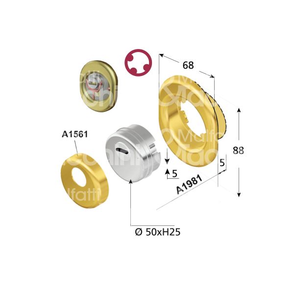 Disec bks201dcs protettore monolito interasse fori mm 38 misura Ø 54 profondita' mm 25 cromo satinato
