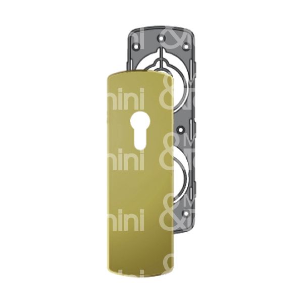 Disec ki2287pi2 placca foro sagomato ottone lucido mm 63 x 190