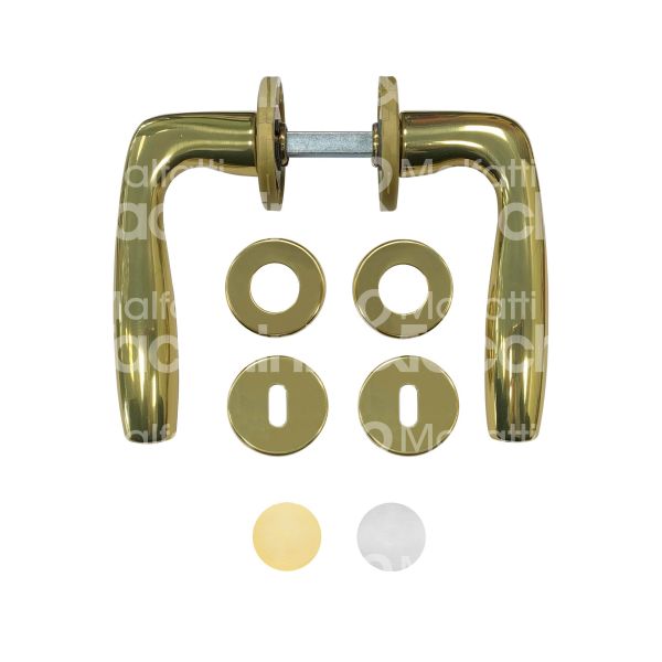 Ghidini 6648231512 coppia maniglia con rosetta shark zama ottone lucido verniciato foro patent quadro mm 8 Ø rosetta mm 50 con molla