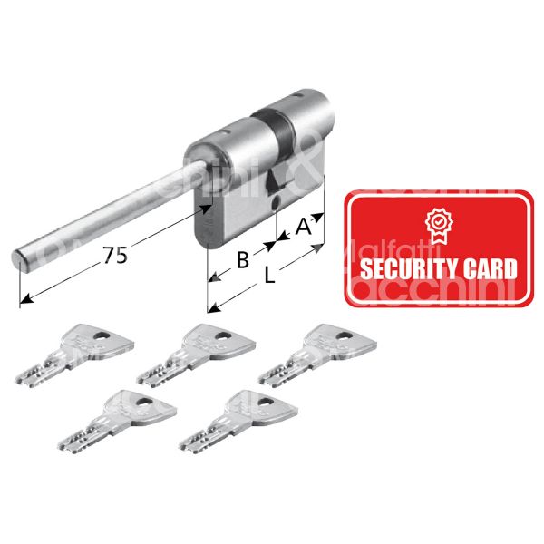 Iseo 82rc6d0509 cilindro sagomato chiave/chiave r90 30 x 50 = 80 mm chiave protetta cifratura kd cromo satinato