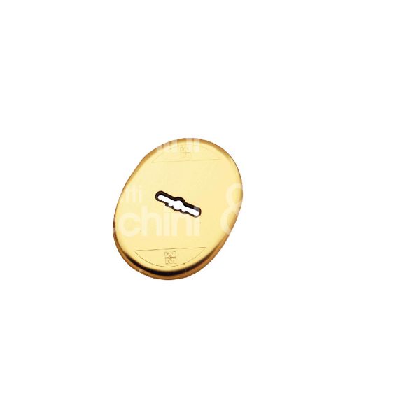 Mottura 95405 mostrina foro doppia mappa ottone lucido mm 65 x 90