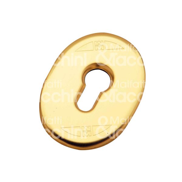 Mottura 95417/o mostrina foro sagomato ottone lucido mm 65 x 90