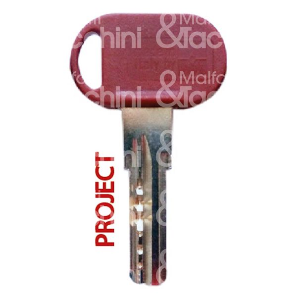 Chiavi grezze p/cil. project